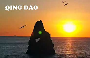Qingdao Decent Group